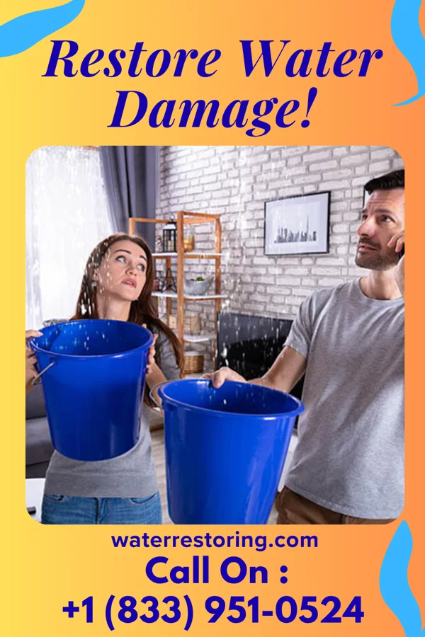 water restoration Imperial Water Mitigation Services Charlton Heights